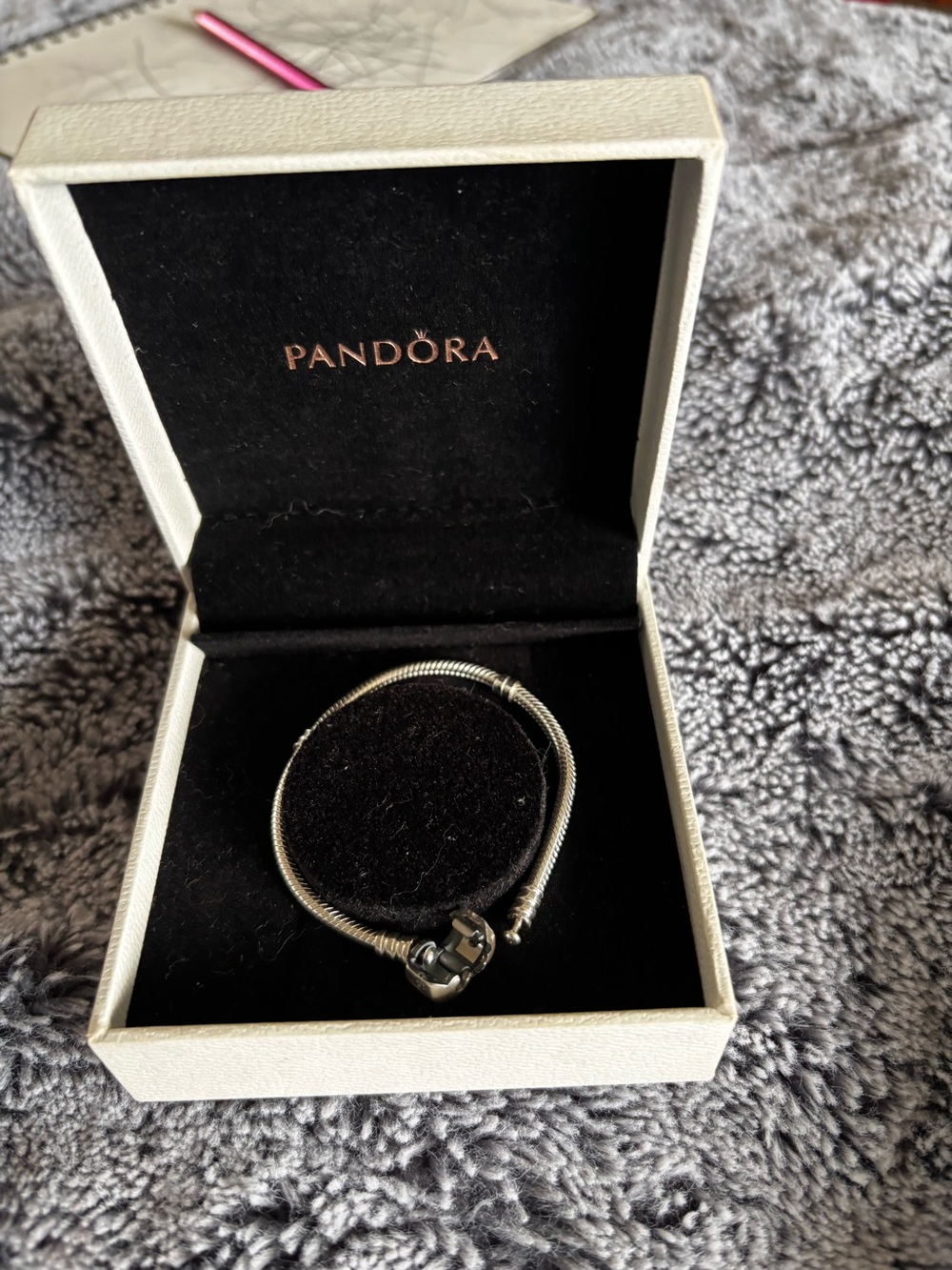 Pandora Silver Snake Chain Bracelet